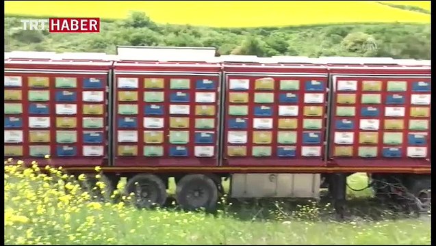 Mobil arıcılık sistemiyle karış karış Türkiye