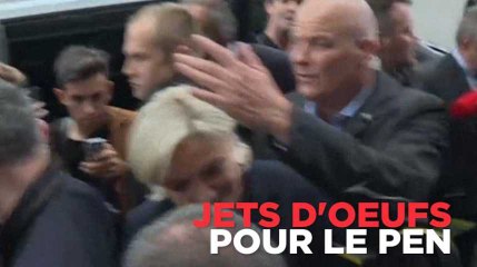 Bretagne : Le Pen accueillie par des jets d'œufs