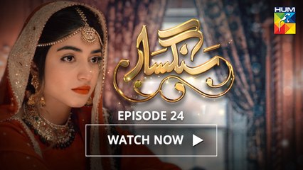 Sangsar Episode 24 Full HD HUM TV Drama 4 May 2017