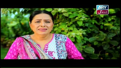 Haal-e-Dil Episode 139 - on Ary Zindagi in High Quality 4th May 2017