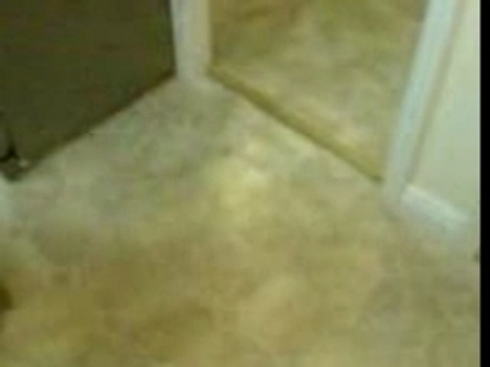 MOV00203
