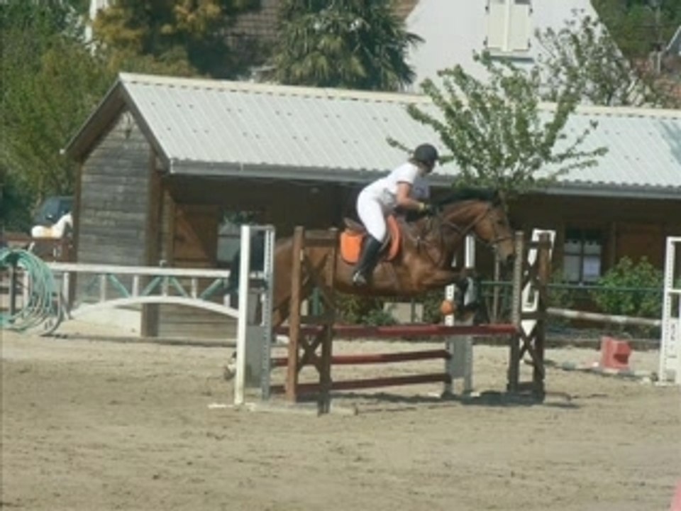 Gerfaut