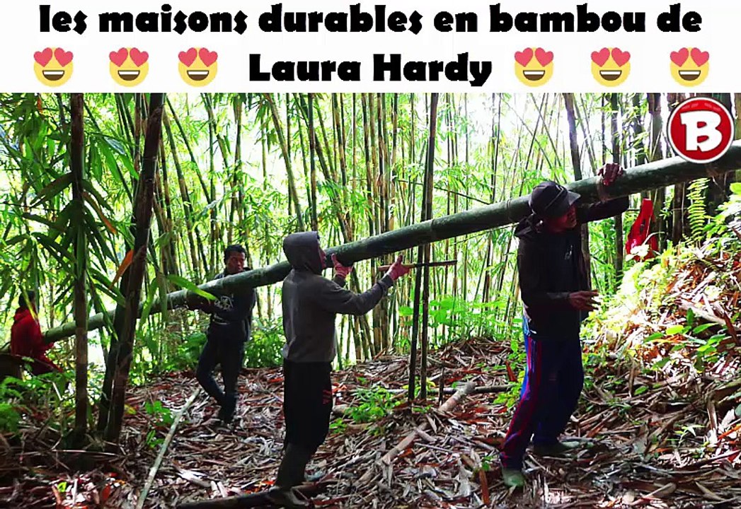 les maisons durables en bambou de Laura Hardy