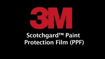 3M ScotchGard Paint Pr Car Care