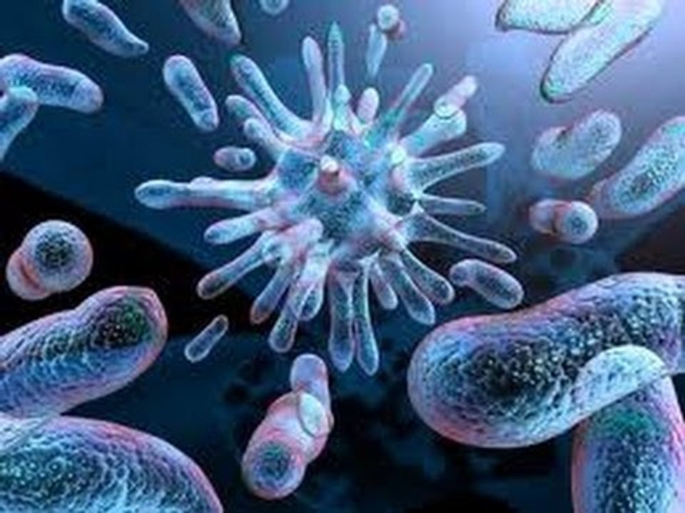 BASCTERIAS - TODO SOBRE LAS BACTERIAS : DOCUMENTAL COMPLETO