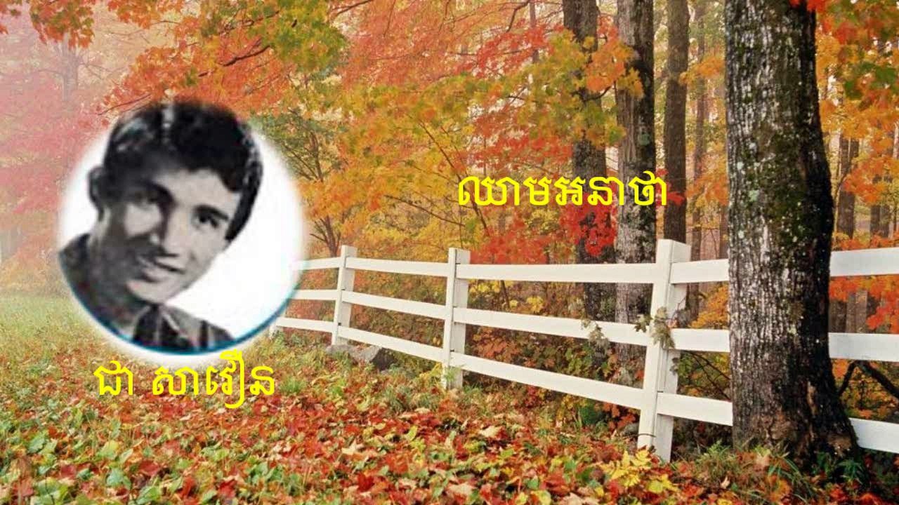 ឈាមអនាថា