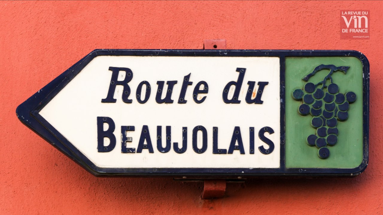 Vins du Beaujolais : Que valent les millésimes 2015 et 2016 ?