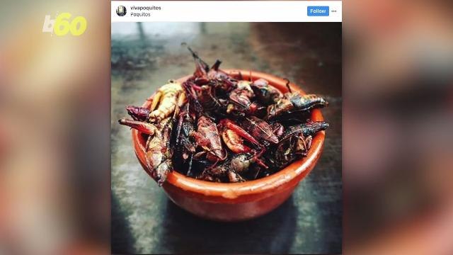 Forget Peanuts! Baseball Fans Are 'Bugging Out' Over Toasted Grasshoppers