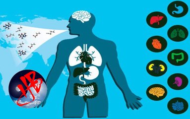 Bằng chứng về những tế bào giúp bạn giữ bình tĩnh