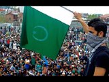 Masarat Alam arrested for waving Pak Flag