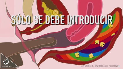 La revolución de la copa menstrual