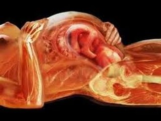 EMBARAZO - 9 MESES DE GESTACIÓN : DOCUMENTAL COMPLETO