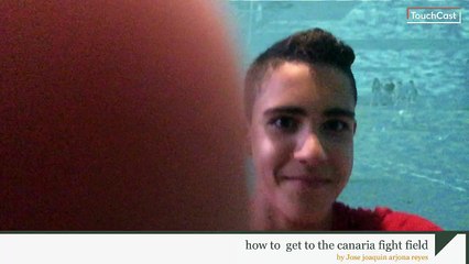 Proyecto de lucha canaria