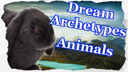 Dream Archetypes Animals