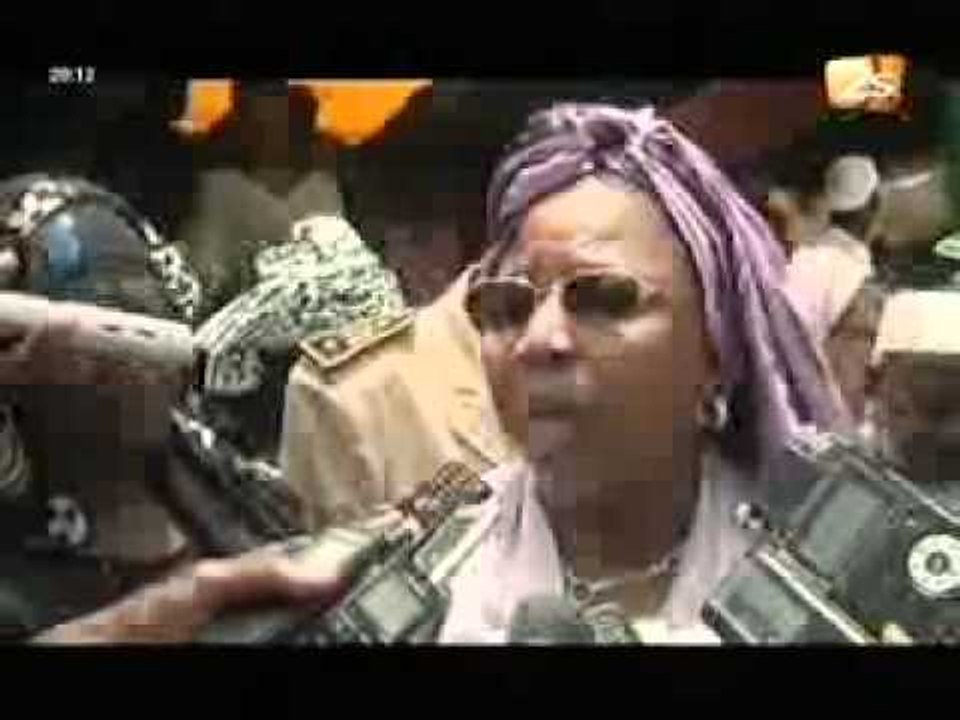 journée mondiale de lutte contre le paludisme  JT français du 25 avril 2012