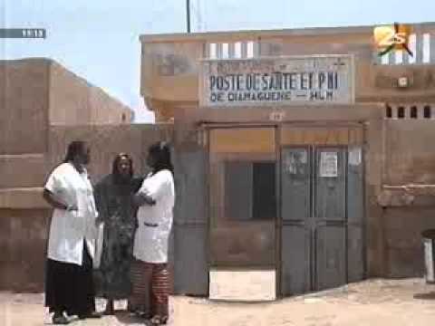 Campagne de sensibilisation contre le paludisme JT wolof du 25 avril 2012