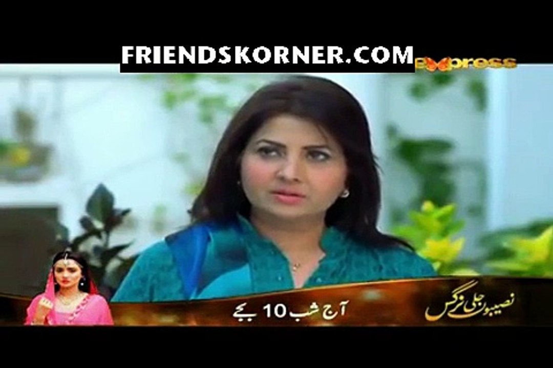 Apney Paraye Episode 4