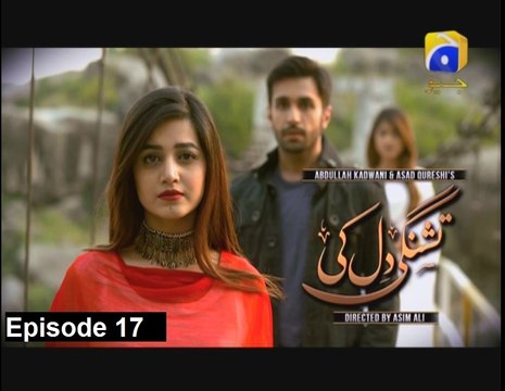 Tishnagi Dil Ki Episode 17 - Harpal Geo tv