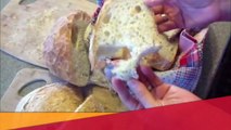 Ekmek Tarifi _ Hamur Yoğrulmadan Ekmek Nasıl Yapılır