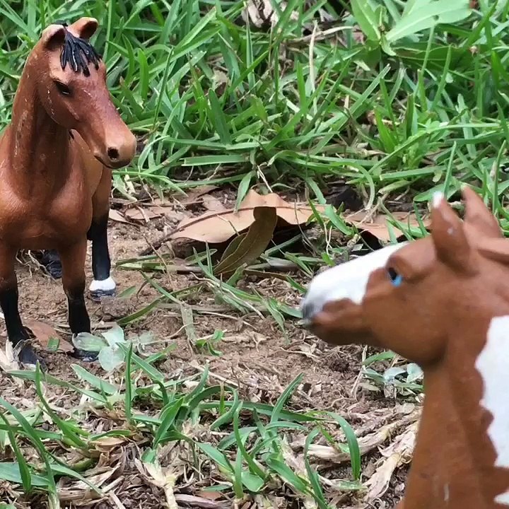 music video