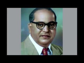 Ambedkar supported Ghar Wapsi says RSS