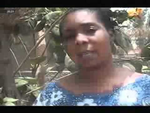 Les agents sanitaires de kolda déterminés contre la bilharziose JT français du 24 avril 2012