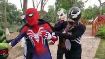 (40)_ Hulk PUSH Spiderman INTO Lake Dolphin!!! Superheroes fun Joker Venom Children Action Movies IRL
