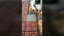 CARRELAGE
