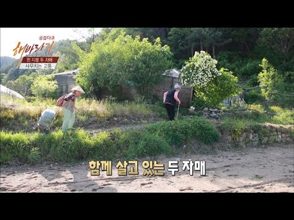 한 지붕 두 자매 [해바라기] 11회 20160702