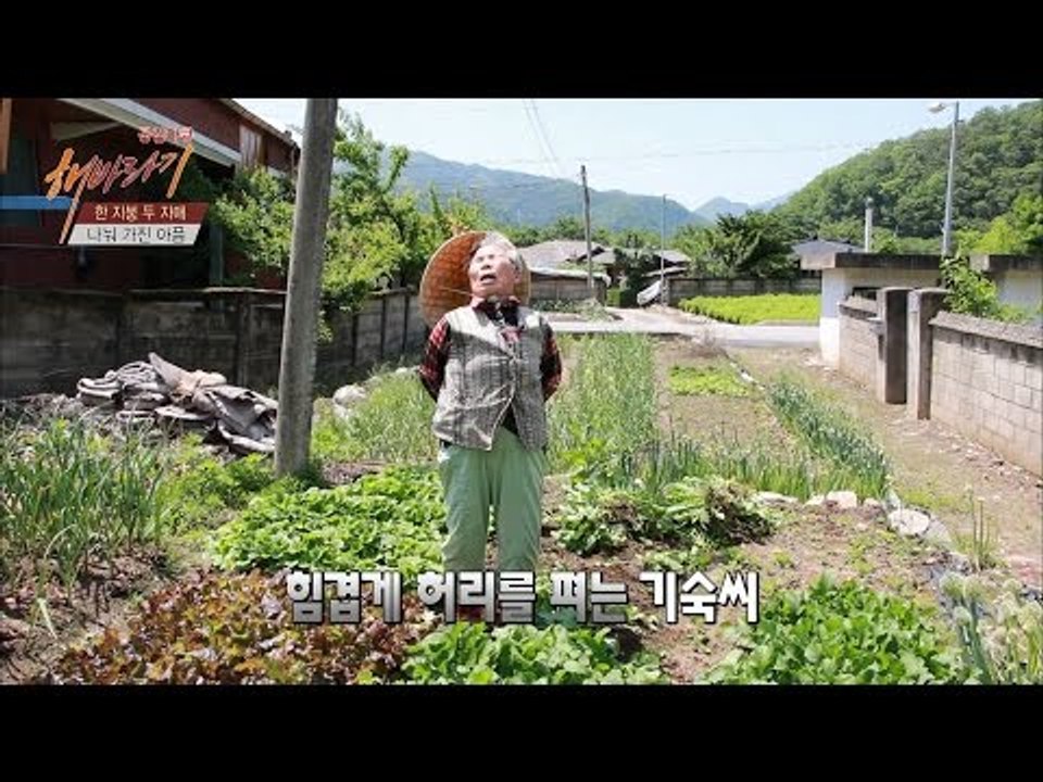 아픈 몸을 이끌고 텃밭에서 일하는 자매 [해바라기] 11회 20160702