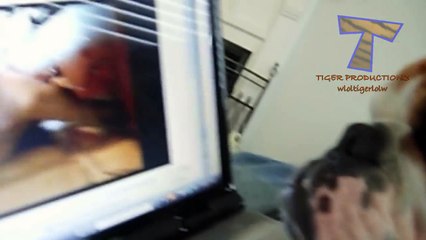 Animals are so funny that you can die of laughter - Funny animal compilation_18