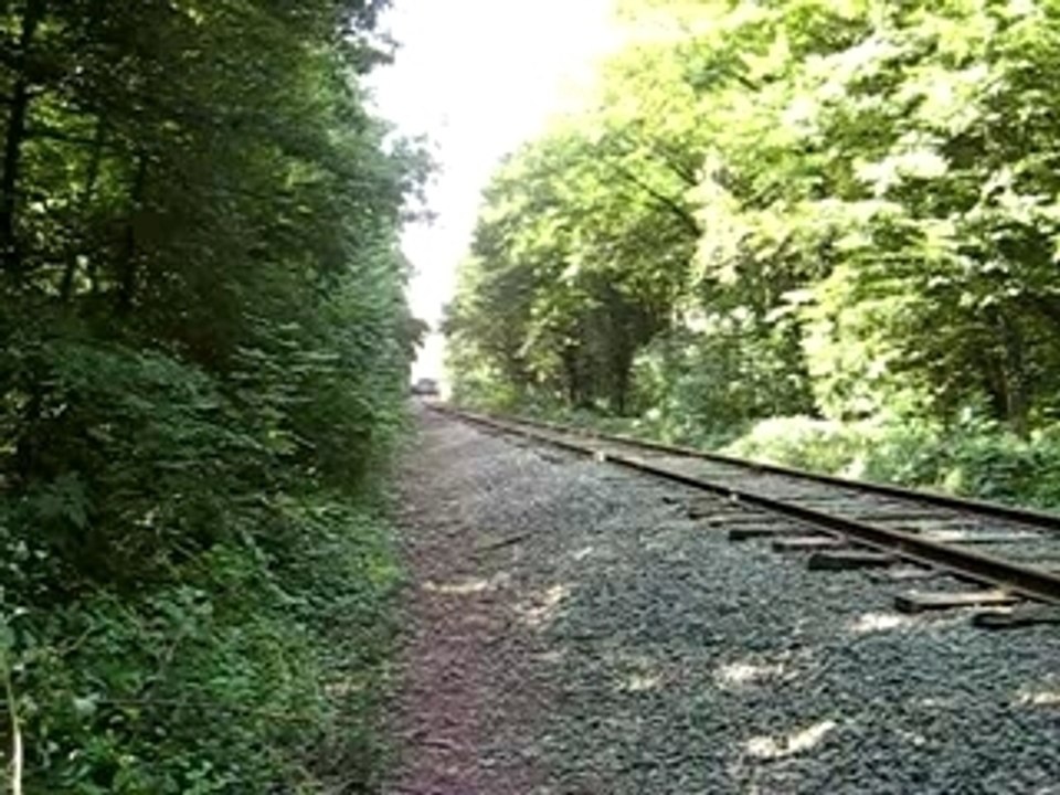 Train 030 couillet vers cernay TTDA