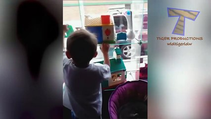 Animals are so funny you just can t stop laughing - Funny animal compilation_2