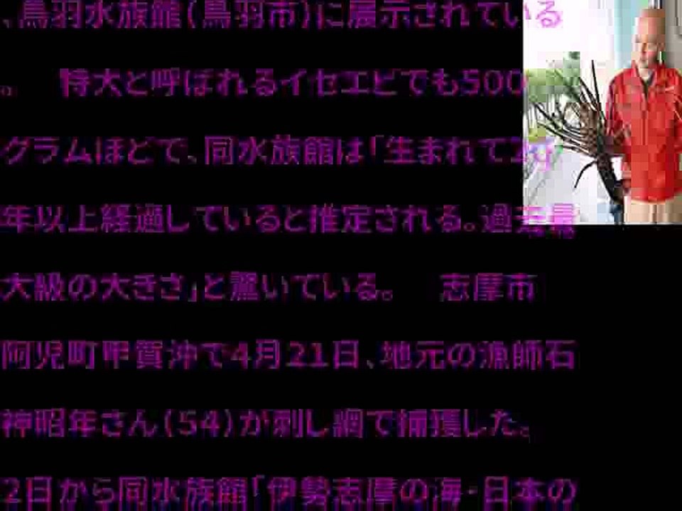 生まれて２０年以上？「過去最大級」のイセエビ（2017年05月05日 07時46分）