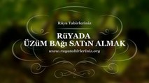 Rüyada Üzüm Bağı Satın Almak