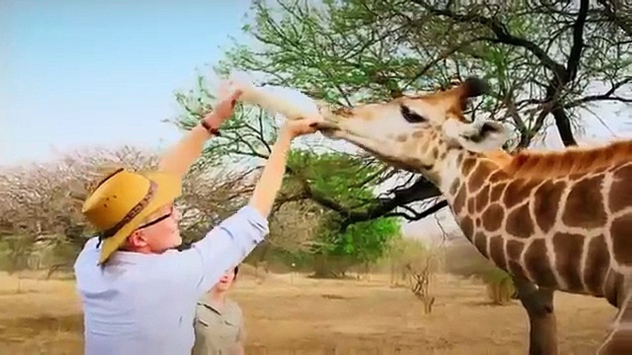 Paul O Gradys Animal Orphans S01E01