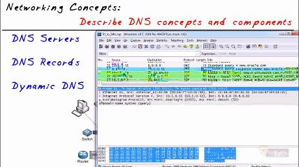 CompTIA Network N10-005- Digging into the Details of DNS part8 of 38
