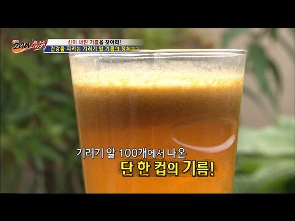 기러기 알이 건강을 지켜준다?! [뉴 코리아 헌터] 4회 20160630