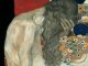 Vienne 1900 : Klimt, Kokochka, Moser, Schiele