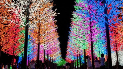 Un voyage de rêve dans les villes les plus colorées du monde