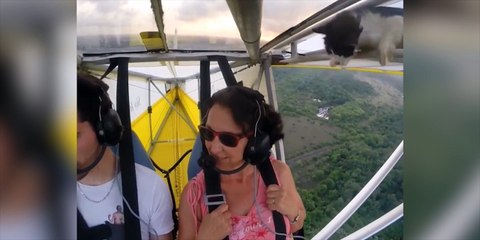 Ce chat n'aurait pas dû faire sa sieste dans cet ULM !