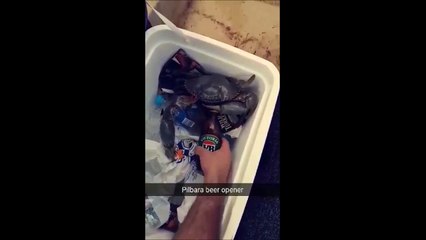 Quand ton pote le crabe t'ouvre ta bière!