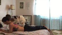 Quand ton chat est aussi un très bon masseur... Pratique