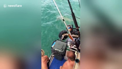 Fearless man battles shark in the sea and loses