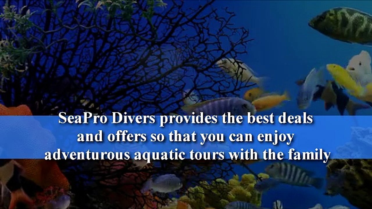 Snorkeling Excursions In Punta Cana - Seaprodivers.com