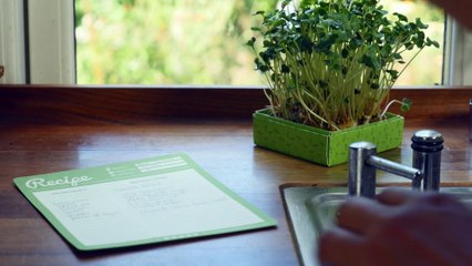 how-to-use-plant-sprout-pencils-by-sprout-world