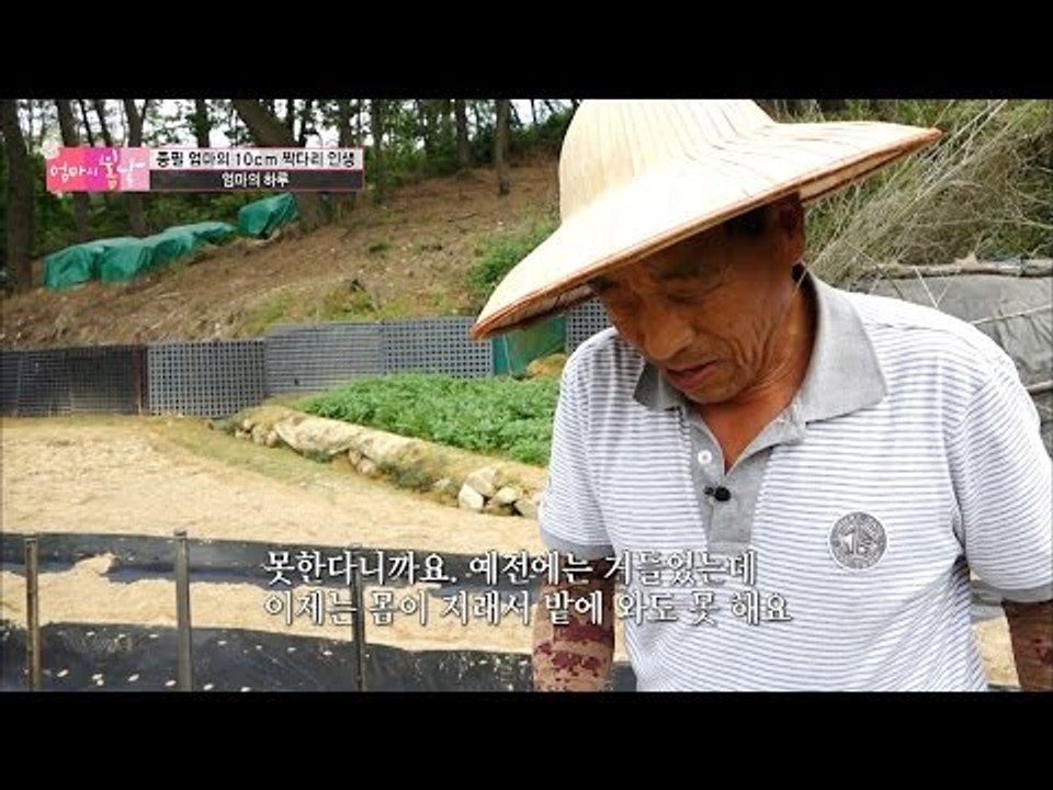 밭일 못하는 엄마를 위해 더 열심히 하는 남편 [엄마의 봄날] 48회 20160627