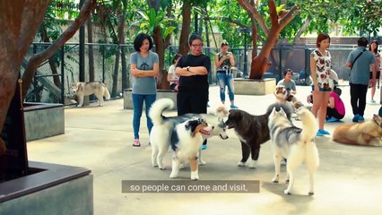 Going Local in Bangkok