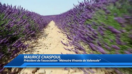 Des OVNIS débarquent (encore) sur le plateau de Valensole