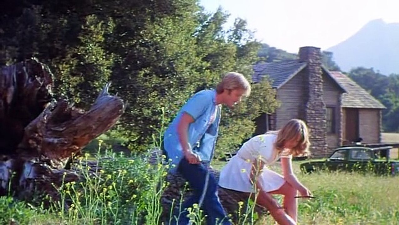The Great American Girl Robbery (1979) 2/2